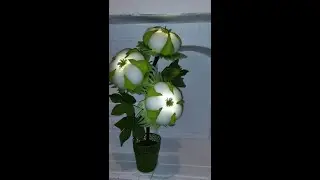 Оригинальный  светильник - хлопок/ DIY From wildflowers to exotic flowers