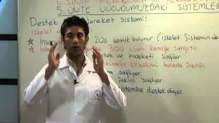 TEOG Fen ve Teknoloji Vücudumuzdaki Sistemler