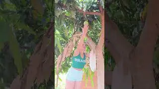 relembrando minha infância veja um vídeo 🥰😀😀