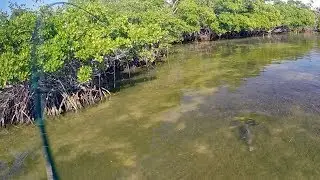 Fun Fishing With The Whipping Stick