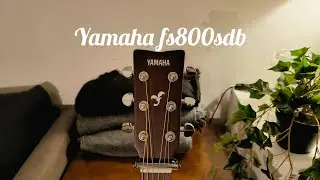 Best cheap acoustic guitar? -yamaha fs800sdb-