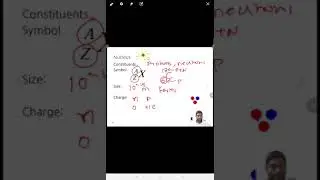 Atomic Nucleus