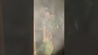 Заботливая Баня. Калининград
