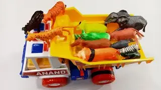 Animals set unboxing 🐘🐪🐄 | wild zoo animals loading in Truck || Unboxing ||