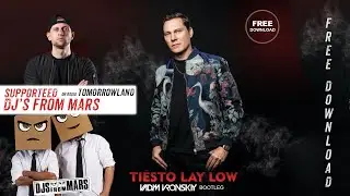 Tiesto - Lay Low (Vadim Vronskiy Bootleg)[FREE DOWNLOAD]