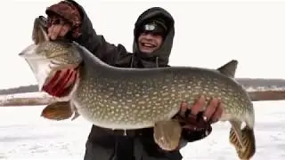 ТРОФЕЙ НА ЖЕРЛИЦУ ЩУКА 11.600кг  BIG PIKE