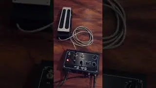 Jimi Hendrix Burning Desire Tones #jimihendrix #univibe #guitarpedal