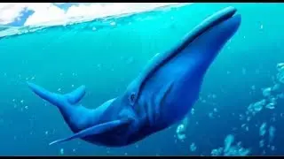 Blue Whale Simulator 3D Android Gameplay FHD