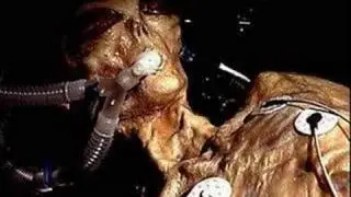 Alien Photo Shoot Proof Of U.S. Government Coverup