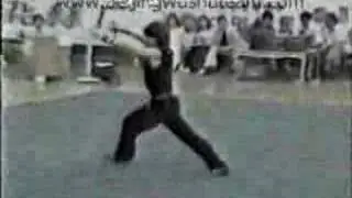 Yang Shiwen - 1986 China Nationals Nanquan Wushu
