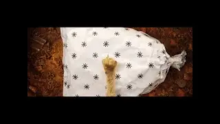 The Nezha Prime Day One Shenanigans  ( A Isle of Dogs Parody )