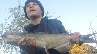 6lb Test vs Catfish