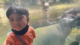 Trip to Singapore Zoo