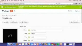 How to Place Google Adsense Ads in Volusion and Wordpress