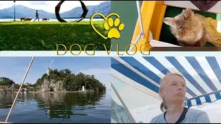 DOGVLOG: 3 Наши озёра -2020 - Our lakes 2020
