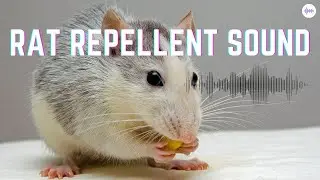 Rat Repellent Sound