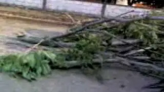 Lo que el viento se llebo