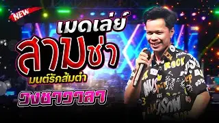เมดเล่ย์สามช่า🔥🔥🔥 #มนต์รักส้มตำ วงชาวาลา