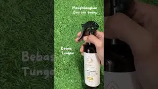 Linen spray menghilangkan bau ompol, bau tak sedap dan usir tungau
