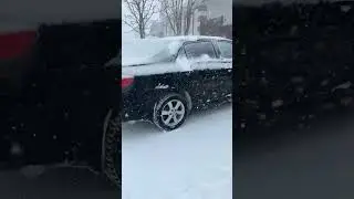 #corolla
