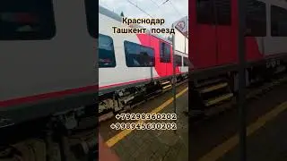 Краснодар Ташкент Автобус #тошкент #автобус #ташкент #ростов #тикток #краснодар #avtobus #ростов