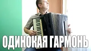 Одинокая гармонь на аккордеоне! Эту песню знают все