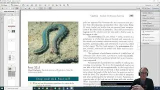 Basic PDF Editing with Adobe Acrobat Pro