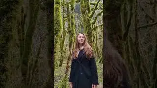 Волшебный лес, сказочной Абхазии #абхазия #гидсочи #экскурсииабхазия #рица #гидабхазия #гагра