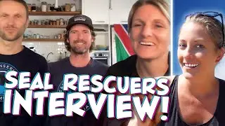 I Interview the Brave Heroes Rescuing Fur Seals in Namibia