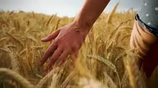Сергей Есенин- 