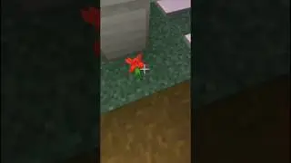 A Great Sacrifice 😔🥀 #minecraft #shortsviral