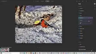 FotokursKalmar - Redigering fågel Luminar AI
