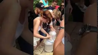 Тимбилдинговая программа 