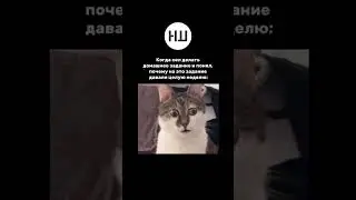 Если было такое, ставь лайк 💗