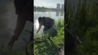 Фидерная рыбалка. Итог ночной посиделки с 31 на 1 августа