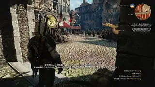Politics in the World of The Witcher: Executing the Outsiders by Fire｜The Witcher 3 Next-Gen