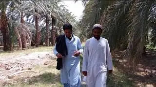 فیلم بلوچی