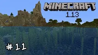 Vanilla 1.13 - E11 (How to Count?)