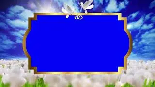 AJ FRAME 54