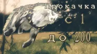 | WildCraft | Как прокачаться с 1 до 200 уровня? (Мой способ) | вилд крафт | 🍃 