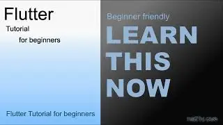 Flutter Beginner Tutorial 