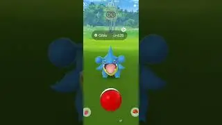 Shiny Gible! Pokémon Go!