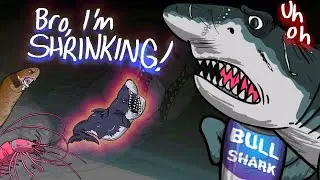 Minilodon suffers from shrinkage... Megalodon, what happened?!