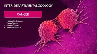 CANCER : Interdepartmental Zoology #chemistry #cancer #zoology #msc #chemistryworld #chemotherapy