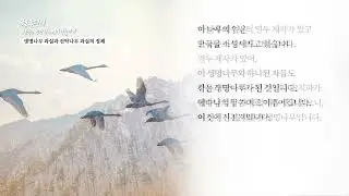 [천국편지]  생명나무 과실과 선악나무 과실의 정체 l 신천지 예수교회