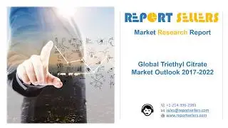 Triethyl Citrate Market Research Report | Report Sellers
