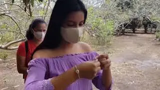 La Ruta de la Ciruela en #Petrillo - #Guayas