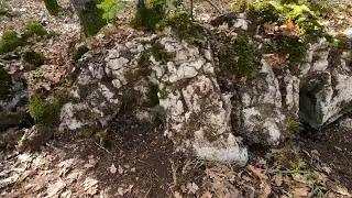 Osmalı Dönemi Eşkiya Hazinesini Buldum Muhteşem Define ...!!!!