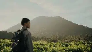journey