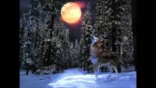 Native American Indian Music - Winter Ceremony